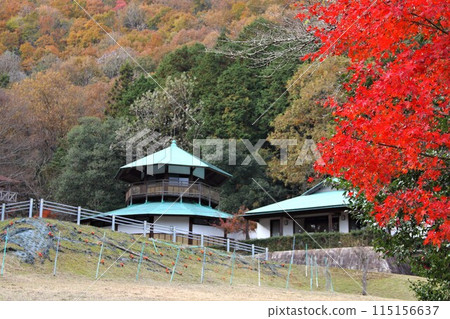 谷組山華嚴寺 西國地區第 33 號紅葉寺廟 - 94（岐阜縣） 115156637