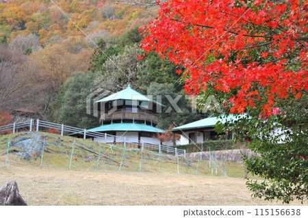 西國第33座紅葉寺谷山華嚴寺步行街95（岐阜縣） 115156638