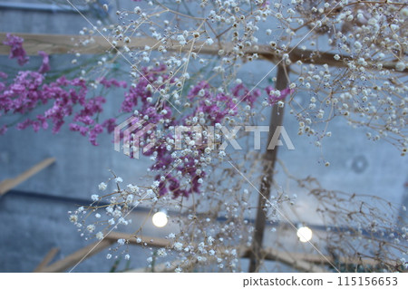 乾花 乾花 115156653