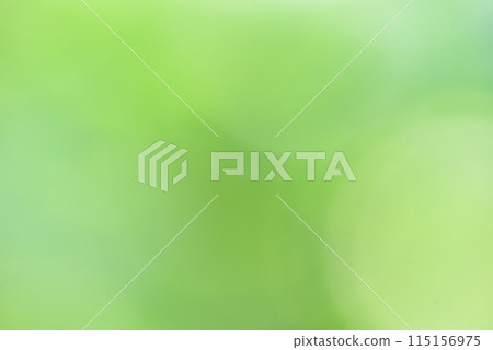 綠色背景素材 115156975