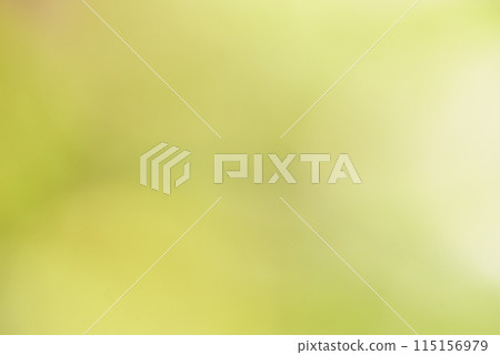 綠色背景素材 115156979