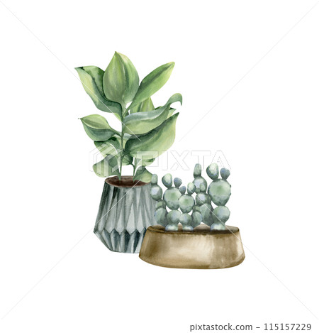 Home green plants in pots watercolor illustration. Urban jungle floral elements with cactus and palm, house potted plants composition for poster, interior design, eco stickers, flower shop 115157229