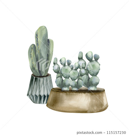 Houseplants in pots watercolor illustration. Hand drawn urban jungle composition, floral home potted cactus for interior, poster design, stickers, flower shop logo, boho home Houseplants in pots watercolor illustration. Hand drawn urban jungle composition, floral home potted cactus for interior, poster design, stickers, flower shop logo, boho home 115157230