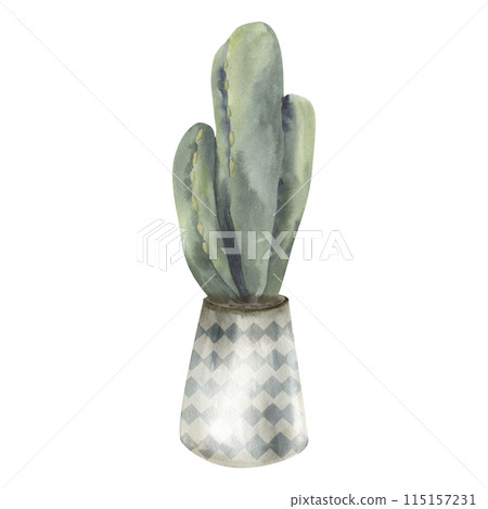 Green cactus in light pot with pattern watercolor illustration. Home plant, urban jungle green element, house interior boho decor, floral clip art for sticker, poster design Green cactus in light pot with pattern watercolor illustration. Home plant, urban jungle green element, house interior boho decor, floral clip art for sticker, poster design 115157231
