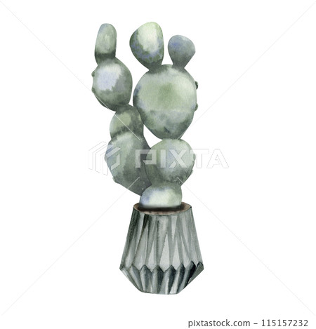 Green home plant cactus in grey scandy pot watercolor illustration. Hand drawn indoor urban jungle, green leaves for home interior decor, stickers, poster, flower shop design 115157232