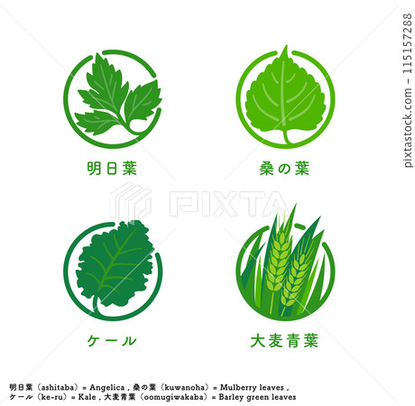 一組綠色果汁成分的圖標和標記，例如明天葉、桑葉、羽衣甘藍和大麥綠葉。 115157288
