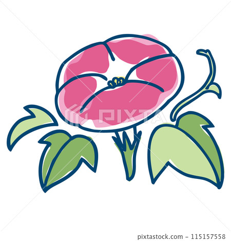Bright pink morning glory - simple and roughly painted illustration 115157558