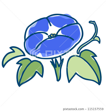 A simple and roughly painted illustration of a vibrant blue morning glory A simple and roughly painted illustration of a vibrant blue morning glory 115157559