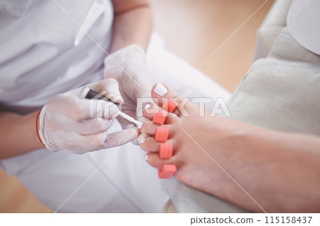 Pedicurist doing white nail polish on client legs using toe finger separator. Professional medical pedicure procedure. Foot treatment in SPA salon. Podiatry clinic. Beautician hands in white gloves. 115158437