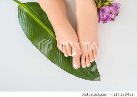 Beautiful perfect female skin legs feet top view with tropical flowers and green palm leaf. Nail polish, care and clean, spa pedicure treatment in white. Concept on background isolated. Copy space 115158451