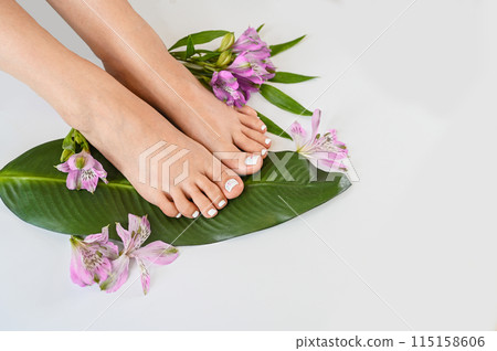 Beautiful perfect female skin legs feet top view with tropical flowers and green palm leaf. Nail polish, care and clean, spa pedicure treatment in white. Concept on background isolated. Copy space Beautiful perfect female skin legs feet top view with tropical flowers and green palm leaf. Nail polish, care and clean, spa pedicure treatment in white. Concept on background isolated. Copy space 115158606