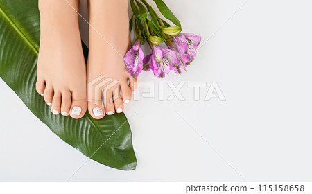 Beautiful perfect female skin legs feet top view with tropical flowers and green palm leaf. Nail polish, care and clean, spa pedicure treatment in white. Concept on background isolated. Copy space 115158658