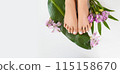 Beautiful perfect female skin legs feet top view with tropical flowers and green palm leaf. Nail polish, care and clean, spa pedicure treatment in white. Concept on background isolated. Copy space 115158670