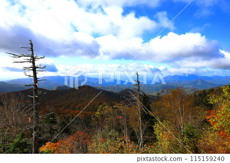 雙龍辻的萬代東天際線秋葉 115159240