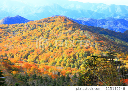 Bandai Azuma地平線秋葉 115159246