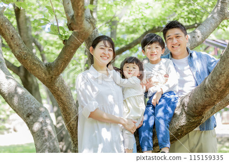 Family, parent and child, fresh green park 115159335