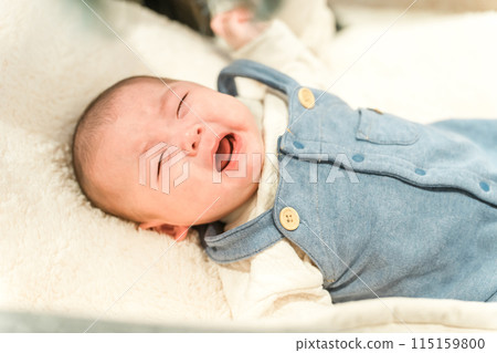 經常哭泣的嬰兒（耳語、夜間哭泣、大聲哭泣、照顧孩子、哄她上床） 115159800