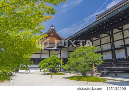 Kyoto Imperial Palace: Gotsunegoten surrounded by fresh greenery 115159996