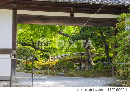 Kyoto Imperial Palace: The inner garden surrounded by fresh greenery: Tsuchihashi Kyoto Imperial Palace: The inner garden surrounded by fresh greenery: Tsuchihashi 115160024