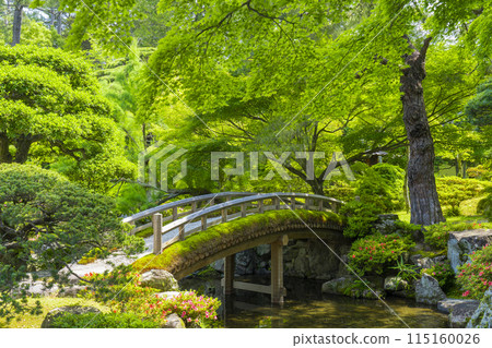 Kyoto Imperial Palace: The inner garden surrounded by fresh greenery: Tsuchihashi Kyoto Imperial Palace: The inner garden surrounded by fresh greenery: Tsuchihashi 115160026