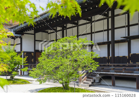 Kyoto Imperial Palace: Gotsunegoten surrounded by fresh greenery Kyoto Imperial Palace: Gotsunegoten surrounded by fresh greenery 115160028