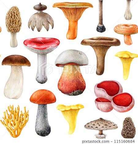 Forest mushrooms seamless pattern. Watercolor painted illustration. Hand drawn different mushroom element collection. Painted various fungi seamless pattern on white background 115160684