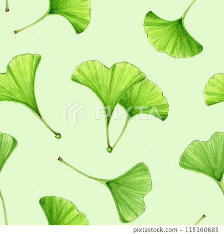 Ginkgo tree green leaf seamless pattern. Watercolor painted botanical illustration. Hand drawn ginkgo biloba seamless pattern. Medicinal plant leaf natural element . Light green background Ginkgo tree green leaf seamless pattern. Watercolor painted botanical illustration. Hand drawn ginkgo biloba seamless pattern. Medicinal plant leaf natural element . Light green background 115160685