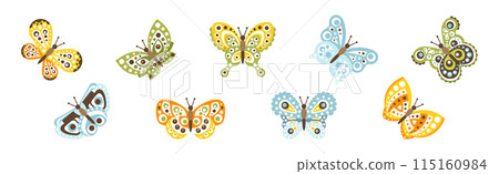 Butterfly Flying Insect with Ornament on Wings Vector Set Butterfly Flying Insect with Ornament on Wings Vector Set 115160984