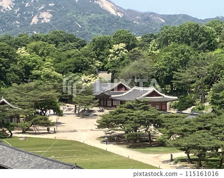 從韓國一棟高樓的屋頂看昌慶宮 從韓國一棟高樓的屋頂看昌慶宮 115161016