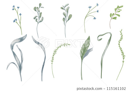 Botanical set delicate green and blue foliage and small flowers watercolor illustration isolated. Various abstract leaves and stems in neutral tone hand drawn. For nature themed projects and decor Botanical set delicate green and blue foliage and small flowers watercolor illustration isolated. Various abstract leaves and stems in neutral tone hand drawn. For nature themed projects and decor 115161102