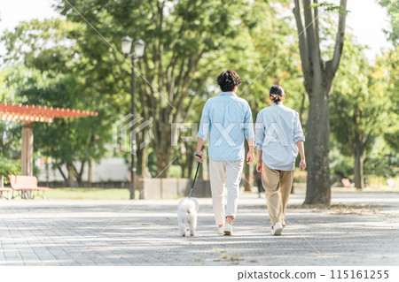 Couples walking their dogs, dog lovers, owners, pet sitters, families Couples walking their dogs, dog lovers, owners, pet sitters, families 115161255
