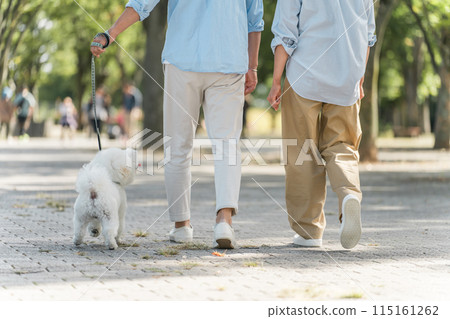 Couples walking their dogs, dog lovers, owners, pet sitters, families Couples walking their dogs, dog lovers, owners, pet sitters, families 115161262