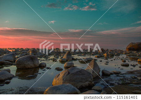 Baltic sea at magenta sunset 115161401