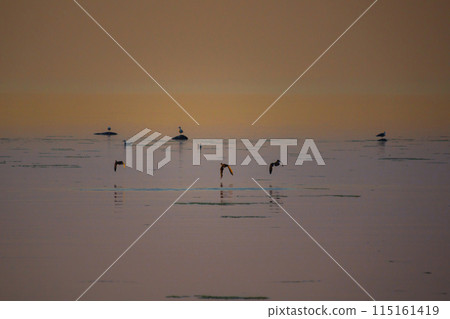 Beautiful sunset over rocky shore of sea 115161419