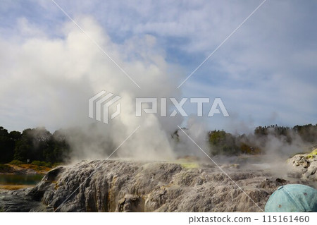 Te Puia Pohutu Geyser, New Zealand 115161460