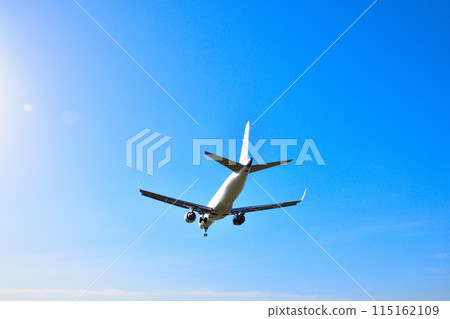 飛行 115162109