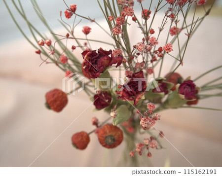 Dried flowers red Dried flowers red 115162191
