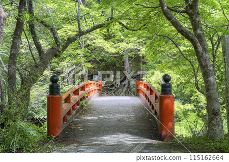 京都的新綠、西明寺的參道、清瀧川上的指月橋 115162664