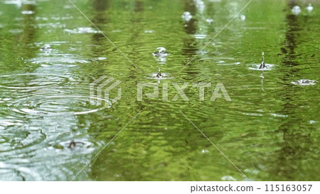 Rain and puddle Rain and puddle 115163057