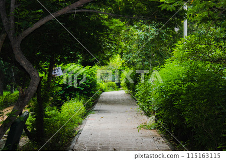 A picture of way in garden 115163115
