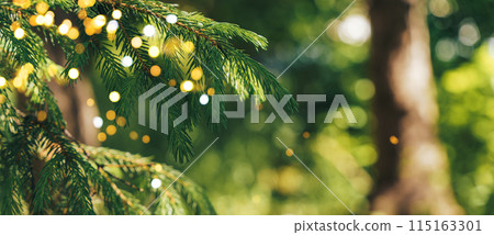 Fir branch decorated with a garland is depicted. Fir branch decorated with a garland is depicted. 115163301