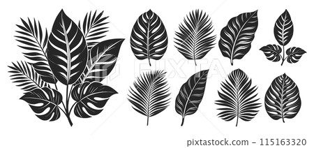 Set of silhouettes of tropical leaves and bouquets. Summer cover template. Design elements collection 115163320
