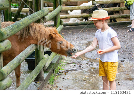 Portrait of the charming young teenager feeds beautiful ginger horse 115163421