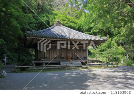 清新綠色的富貴寺大殿 清新綠色的富貴寺大殿 115163968