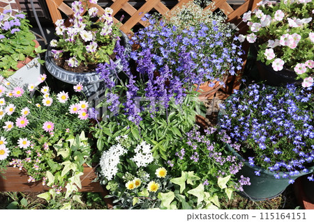 Blue flower arrangement and pot Blue flower arrangement and pot 115164151