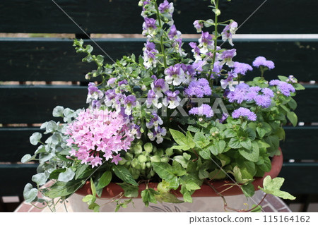 柔和的色彩插花 柔和的色彩插花 115164162