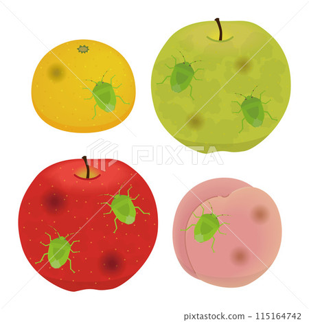 Illustration of fruit trees damaged by stink bugs Illustration of fruit trees damaged by stink bugs 115164742