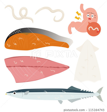 異尖線蟲的插圖 115164743