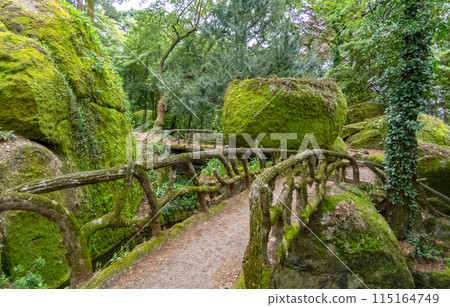 Lake of the Good Jesus Park in Braga, Portugal 115164749