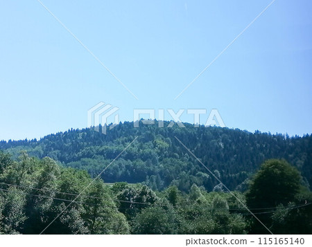Green natural meadow with grass and beautiful sky 115165140